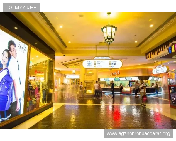 澳门PA真人在线娱乐体验指南,教你轻松掌握高收益技巧