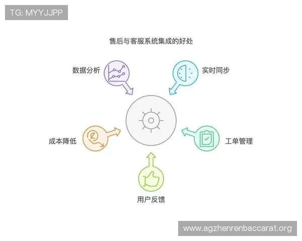 用户评价与反馈分析助力优化AG旗舰APP性能提升整体用户满意度