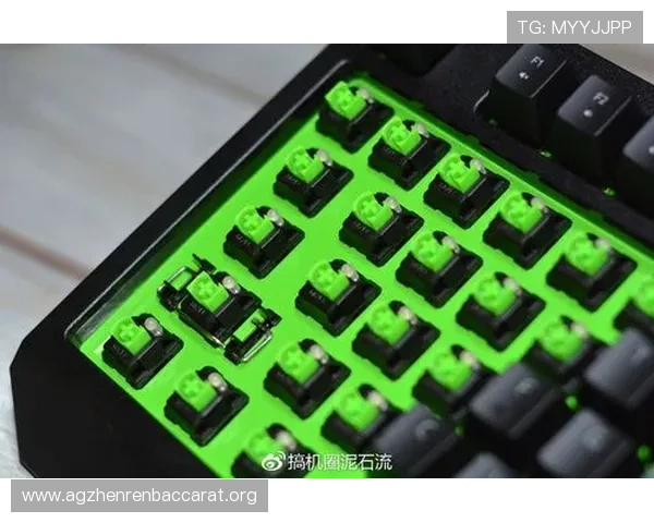 百家乐网页版官网最新上线，全面优化游戏界面与操作流程，确保玩家畅快体验