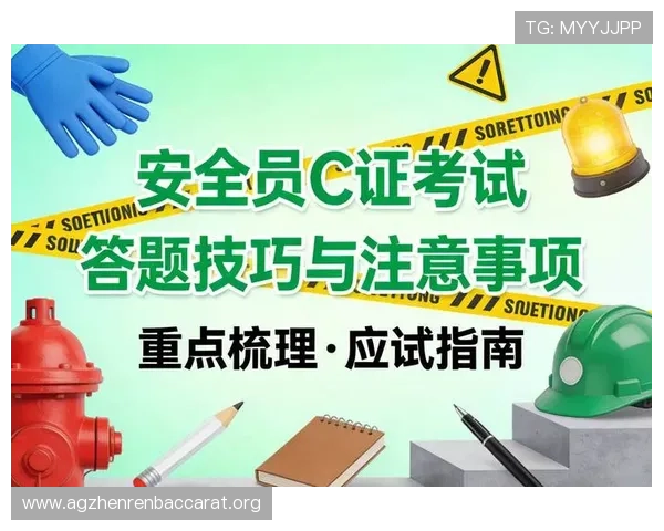 掌握真人百家乐教程提升游戏胜率实用技巧与常见错误分析