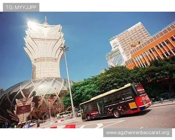 澳门新葡京百家乐玩法详解，助你轻松掌握赢取大奖的秘诀