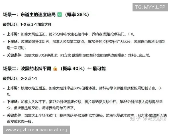 加拿大对波黑比赛中关键球员的战术配合与发挥分析报告